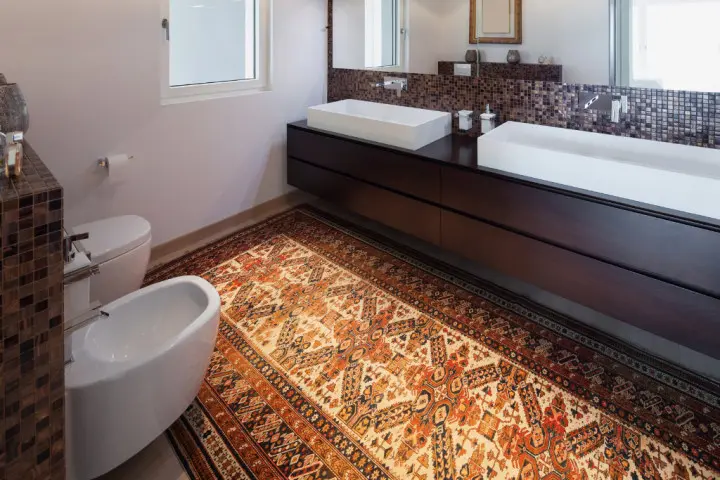 Exotic powder room with rug.