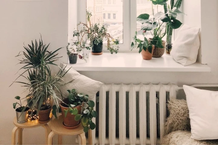 A window with potted plants on it.